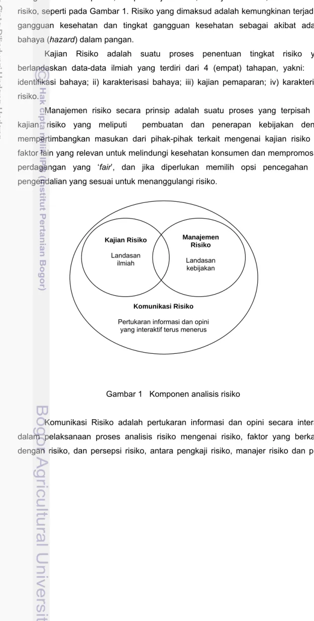 Gambar 1   Komponen analisis risiko 