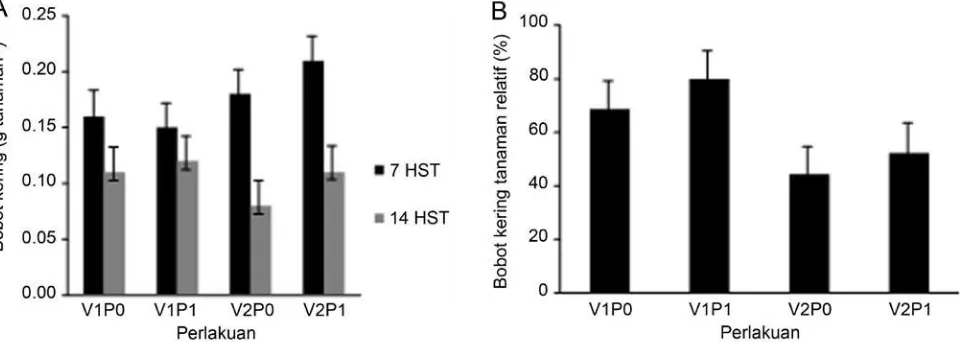 Gambar 6. Pengaruh pemupukan terhadap kandungan karbohidrat (A) dan nilai kandungan karbohidrat relatif, pengamatan 14 HST terhadap 7 HST pada varietas padi (B)