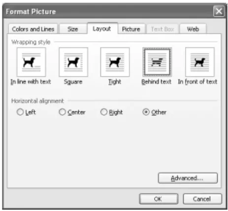 Gambar 2.11. Tab Layout pada Kotak Dialog Format  Picture 