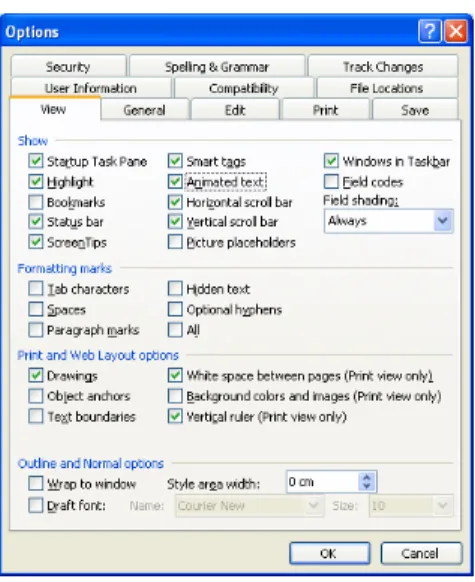 Gambar 2.7. Jendela Options 