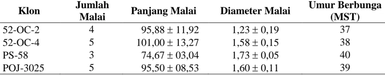 Tabel 1. Jumlah, rerata panjang dan diameter malai (cm), dan umur berbunga (MST) empat klon tebu tanaman donor sumber mikrospora
