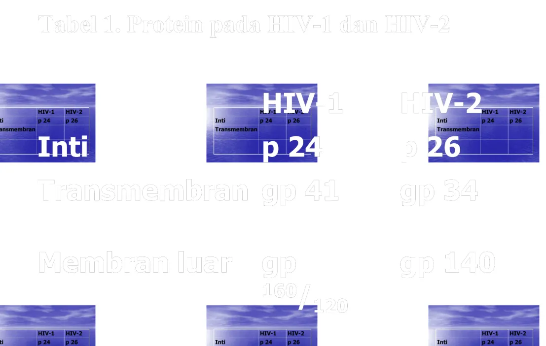 Tabel 1. Protein pada HIV-1 dan HIV-2Tabel 1. Protein pada HIV-1 dan HIV-2