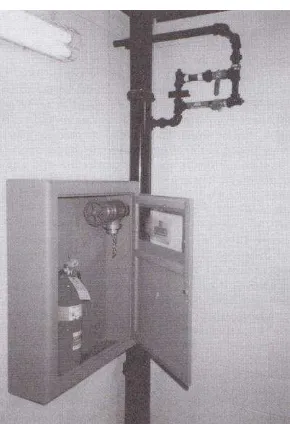 Gambar 11.5 – Sistem kombinasi tipikal pipa tegak/springkler dengan 2 ½ inci katup sambungan pemadam kebakaran