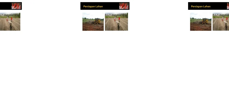 Gambar  4.  Penyiapan lahan untuk penanaman cabai