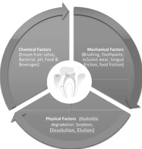 Figure 1. Three essential factors that contribute to the biodegrada� on of dental resin composites