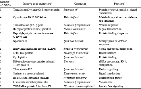Table 2.  Functional annotation of fifteen DEGs in response to skinning injury