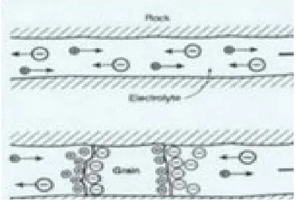 Gambar 2 Proses Polarisasi Elektroda (Reynolds, 1997)