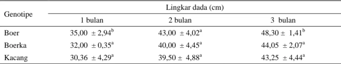 Tabel 1. Rataan lingkar dada kambing Boer, Boerka dan Kacang umur 1 – 3 bulan  Lingkar dada (cm) 