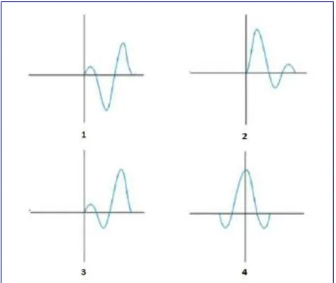 Gambar 6. Jenis-jenis wavelet berdasarkan konsentrasi energinya, yaitu mixed  phase wavelet (1), minimum phase wavelet (2), maximum phase wavelet (3), dan 