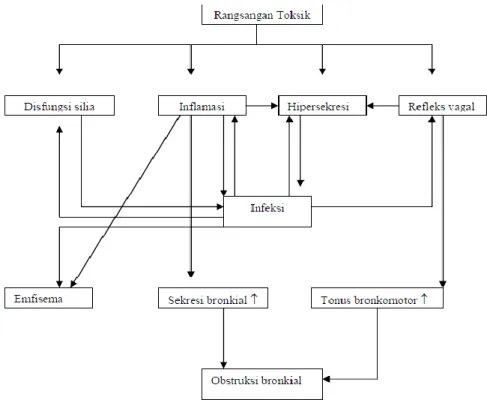 Gambar . Mekanisme patofisiologik Bronkitis Kronik   Sumber (Sutoyo, 2009) 