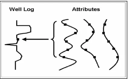 Gambar 3.8 Pengunaan 5 titik operator konvolusi untuk menghubungkan atribut seismik  dengan log target