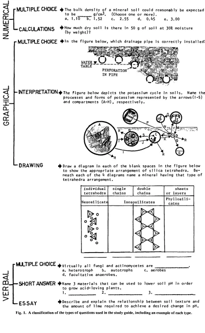 Fig. 1. A classification ofthetypesofquestionsusedinthestudyguide, includinganexampleofeachtype.