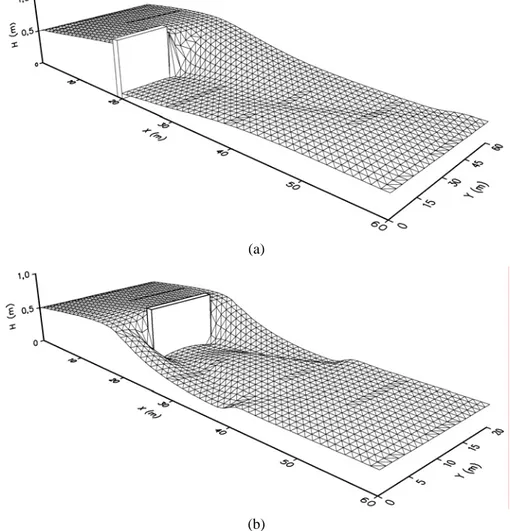 Gambar 29. Prespektif permukaan air. (a) Gyrone. (b)  Pilar (b) 