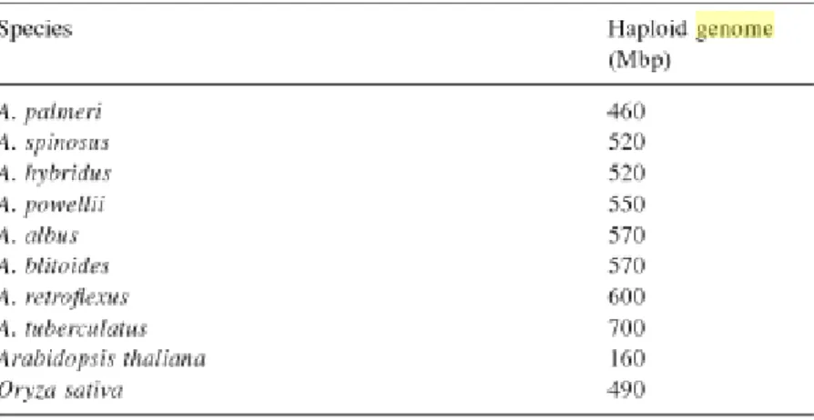 Tabel 3.1  Ukuran Genom Haploid dari Amaranthus sp. (Stewart, 2009) 