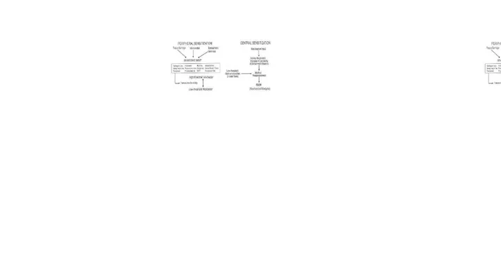 Gambar 2.2-1. Mekanisme sensitisasi perifer dan sensitisasi sentral.