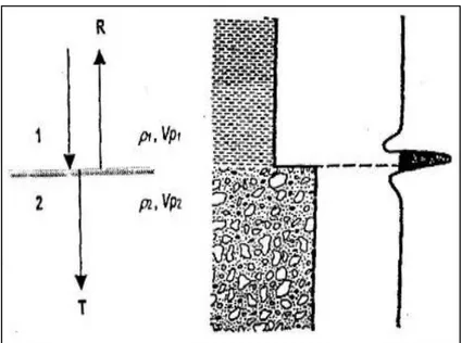 Gambar 3.2 Koefisien refleksi sudut datang nol menggunakan wavelet  zero phase (Sukmono, 2000) 