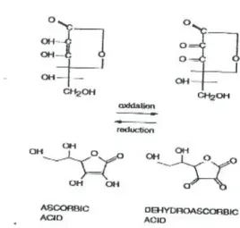 Gambar 4. Struktur Vitamin C (Asam Askorbat) (Hart, 1987) 