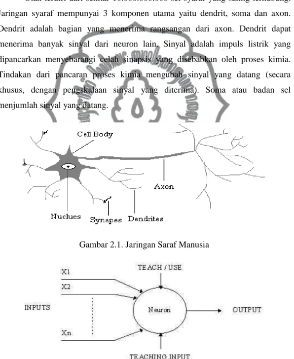 Gambar 2.1. Jaringan Saraf Manusia 