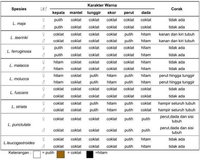 Tabel 5. Karakter warna dan corak bulu pada genus Lonchura di Indonesia 