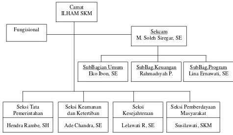Gambar 3.1 Struktur Organisasi Pemerintahan Kecamatan Torgamba 
