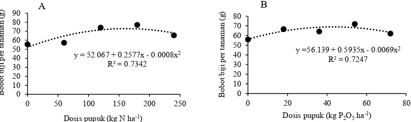 Gambar 2. Pengaruh dosis pupuk N (A) dan pupuk P terhadap bobot biji per tanaman (B)