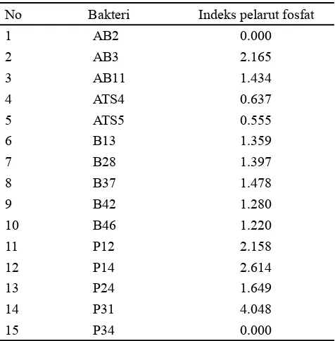 Tabel 1. Indeks pelarutan fosfat 15 bakteri pelarut fosfat pada media Pikovskaya