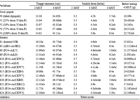 Tabel 3. Tinggi tanaman, jumlah daun, dan bobot kering tanaman tetua betina jagung hibrida varietas Bima 3 pada berbagai dosis pemupukan N dan P serta perlakuan bakteri