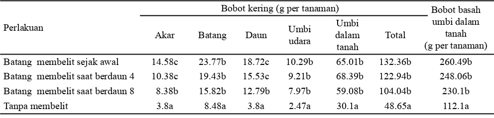 Tabel 3. Bobot hasil per tanaman D. sansibarensis Pax pada perlakuan saat batang membelit