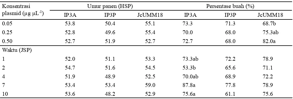 Tabel  1. Umur panen dan persentase buah tanaman jarak pagar genotipe IP3A, IP3P dan JcUMM18 pada transformasi langsung melalui jalur tabung polen dengan perlakuan konsentrasi dan waktu tetes plasmid pCAMBIA1301