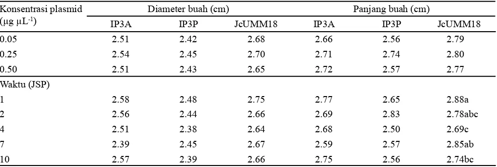 Tabel 2. Diameter buah dan panjang buah tanaman jarak pagar genotipe IP3A,  IP3P dan JcUMM18 pada transformasi langsung melalui jalur tabung polen dengan perlakuan konsentrasi dan waktu tetes plasmid pCAMBIA1301