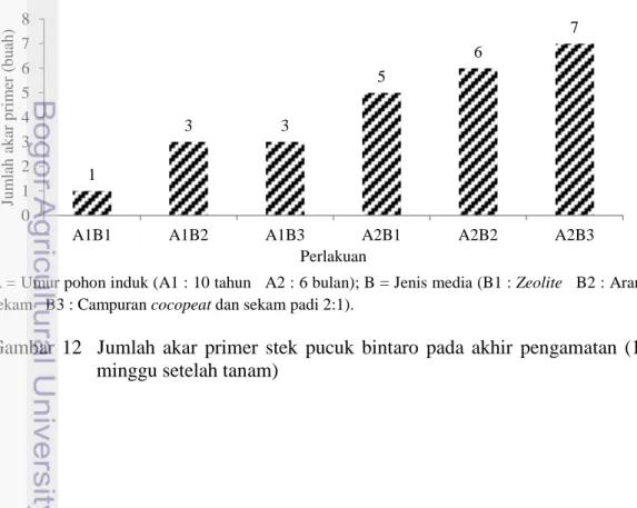 Tabel 3   Hasil uji Duncan pengaruh umur pohon induk terhadap persen berakar  stek pucuk bintaro 
