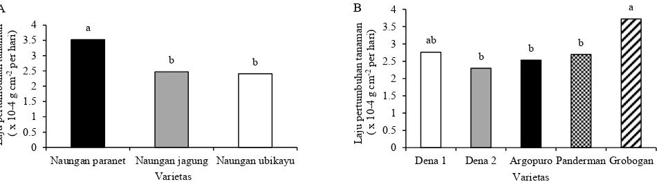 Gambar 3. Laju pertumbuhan kedelai pada umur 20-33 HST akibat pengaruh jenis naungan (A) dan varietas (B)