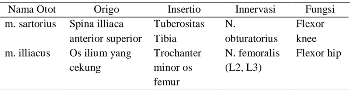 Tabel 2.2 Otot-Otot Bagian Anterior 