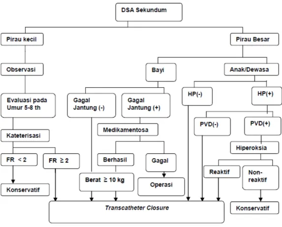 Gambar 2.3 Algoritma Tatalaksana ASD Prognosis