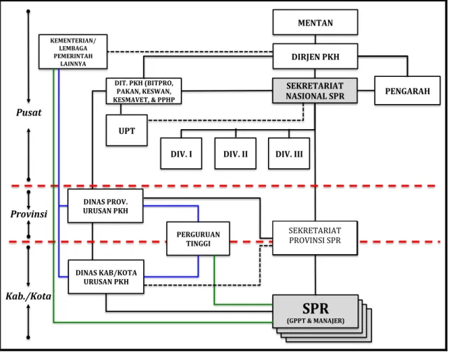 Gambar 7.  Struktur pelaksana SPR di tingkat pusat, provinsi, dan kabupaten 