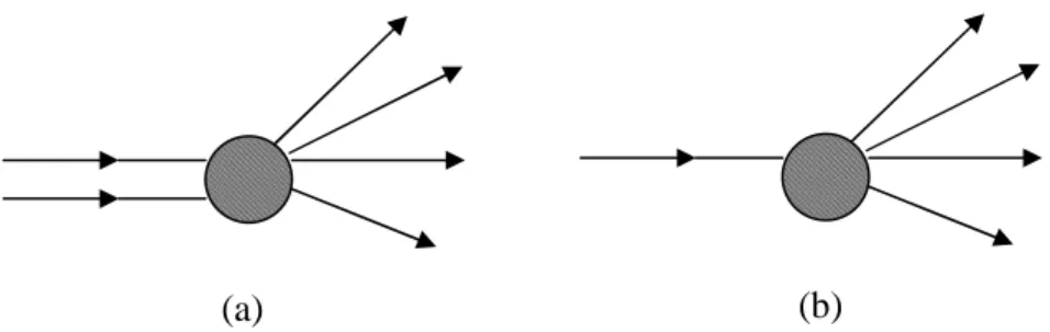 Gambar 6.1. (a) Proses hamburan dan (b) Proses peluruhan. 