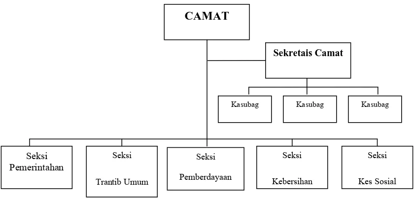 Gambar 4.1. Struktur Organisasi Kantor Camat Stabat 
