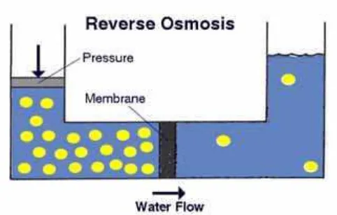 Gambar 2.1 Skematis proses reverse osmosis 