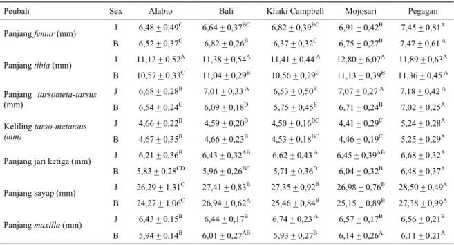 Tabel 1. Perbedaan ukuran masing-masing variabel yang diamati pada jantan dan betina itik Alabio, Bali, Khaki Campbell,  Mojosari dan Pegagan  
