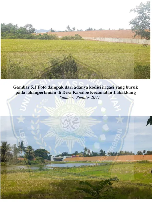 Gambar 5.1 Foto dampak dari adanya kodisi irigasi yang buruk   pada lahanpertanian di Desa Kassiloe Kecamatan Labakkang 