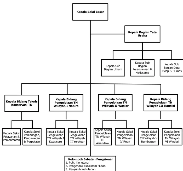 Gambar 1. Struktur organisasi Balai Besar Taman Nasional Teluk Cenderwasih  Tahun 2015 