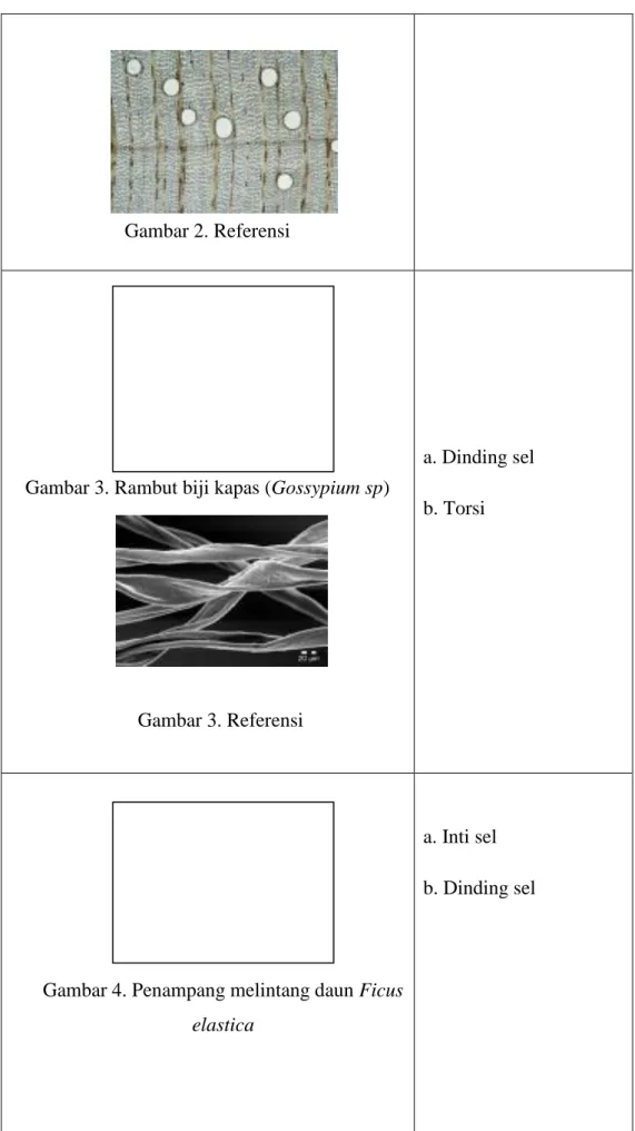 Gambar 2. Referensi 