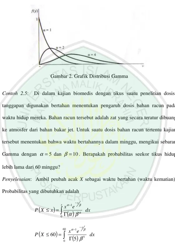 Gambar 2. Grafik Distribusi Gamma 