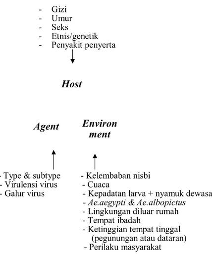 Gambar 2.3. Bagan Interaksi Agent, Host, Environment (Soegijanto, 2006)  Untuk  memprediksi  pola  penyakit,  model  ini  menekankan  perlunya  analisis  dan  pemahaman  masing-masing  komponen  lainnya,  dengan  akibat  menaikan  atau  menurunkan kejadian