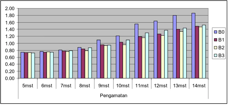 Gambar 3:  Histogram Rataan Intensitas Serangan (%) X. campestris pv oryzae pada padi  pada perlakuan dosis Corynebacterium (B) untuk  setiap waktu pengamatan (mst)   