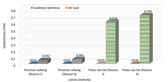 Gambar 2. Perbandingan konsentrasi timbal (Pb) pada Caulerpa racemosa dan air perairan Lae-lae dan  Laikang, periode sampling bulan Desember 2014 