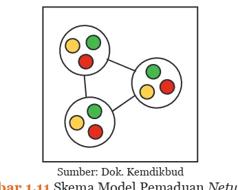 Gambar 1.11 Skema Model Pemaduan Networked