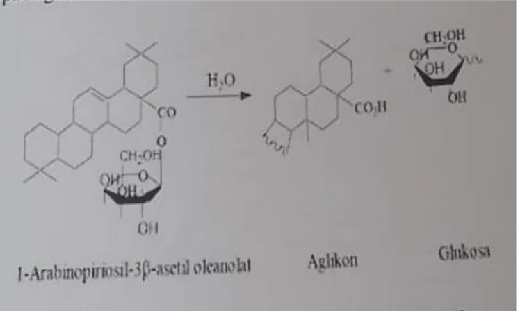 Gambar 4.3 Reaksi hidrolisis saponin dengan air (Muthmainnah, 2017)  Dari  hasil  penelitian  ekstrak  metanol  kulit  pisang  susu  merah  munculnya  buih  pada  percobaan  tabung  pertama  setinggi  0,2  cm,  tabung  kedua  0,5  cm,  tabung  ketiga 0,5 c
