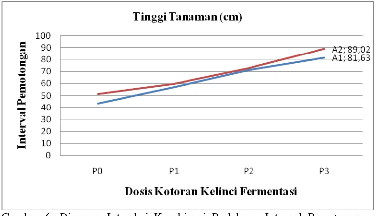 Gambar 6. Diagram Interaksi Kombinasi Perlakuan Interval Pemotongan                    dan Kotoran Kelinci Fermentasi Terhadap Tinggi Tanaman                                      Pennisetum purpureum (cm) 