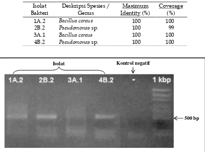 Tabel 1. Hasil Blast Gen 16S rRNA Isolat Bakteri 1A.2, 2B.2, 3A.1 dan 4B.2
